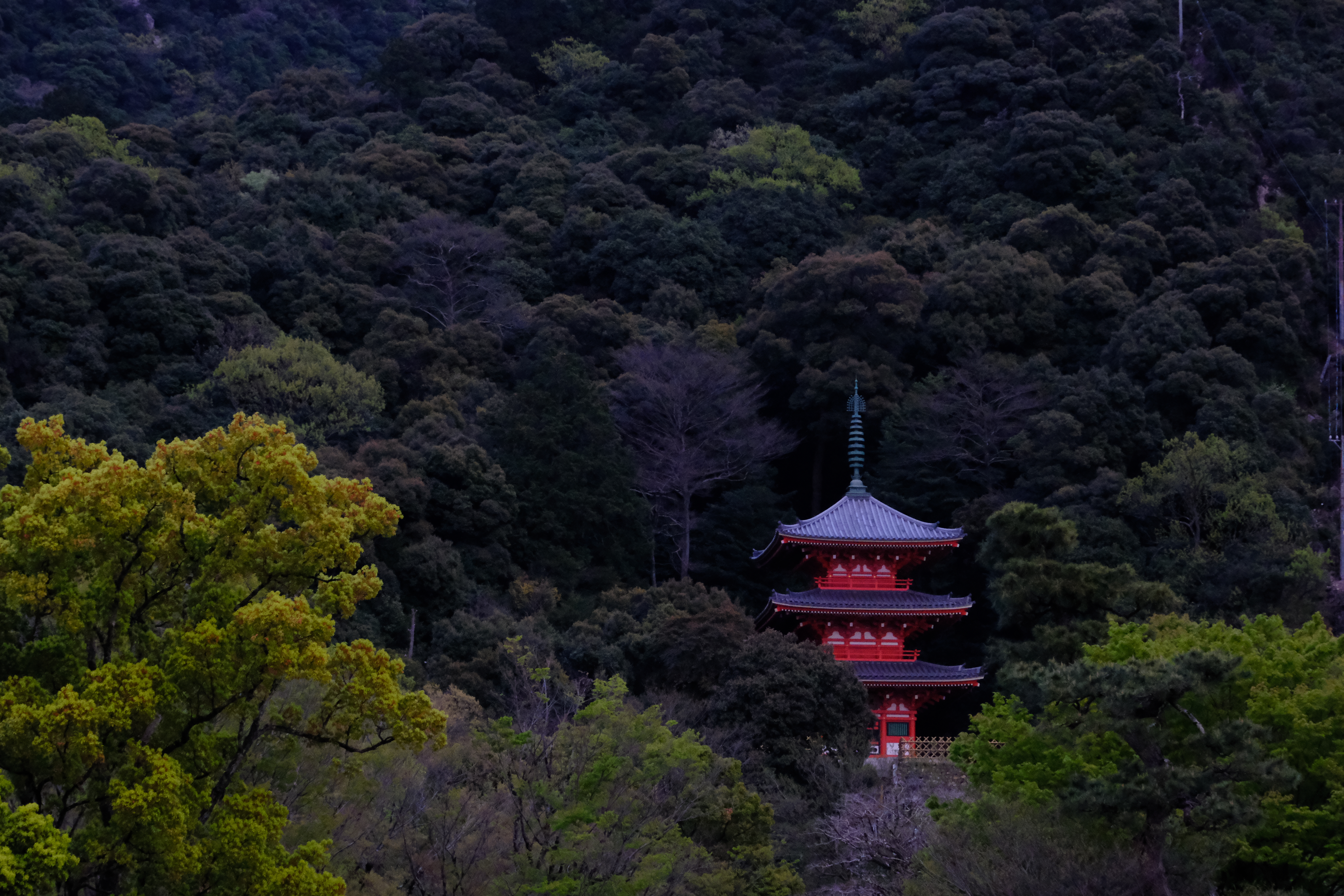 temple-in-the-forest